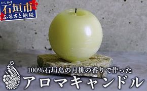 100%⽯垣島の⽉桃の⾹りで作ったアロマキャンドル MU-1 【沖縄県石垣市 沖縄 沖縄県 琉球 八重山 八重山諸島 石垣 石垣島 送料無料 アロマキャンドル アロマ キャンドル 月桃 国産】