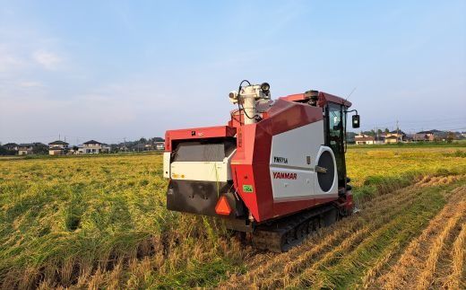 玄米 常総市産 にじのきらめき5kg