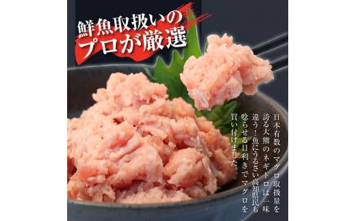 訳あり 本鮪端材切り落とし・ネギトロセット 本鮪切落し100g×3・ネギトロ70g×2 本マグロ 