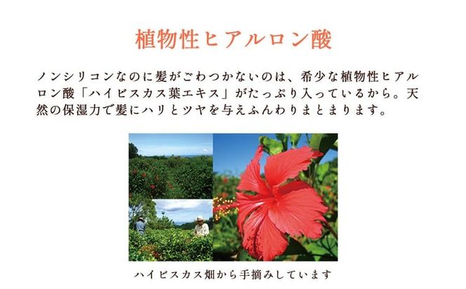 塩とハイビスカス「リュウミネシャンプー」×12本（1年分）