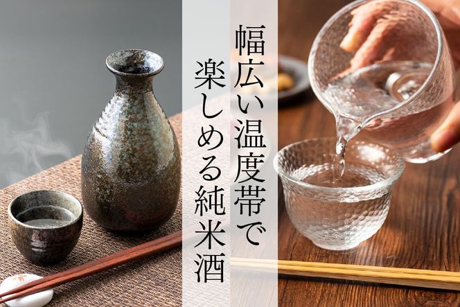 【スピード発送】The SAGA 認定酒  純米酒『光武』720ml×1本【さがの華 日本酒 地酒 金賞 日本酒アワード 家飲み ギフト プレゼント 芳醇軽快 スッキリ 米の旨み】(H022123)