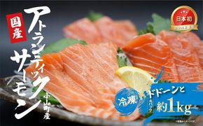 日本初 完全陸上養殖 小山町産 アトランティックサーモン 冷凍 4パック 約1kg