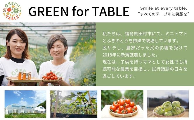 【 先行予約 】 美粒トマト ミニトマト サンチェリー 1kg 2026年7月発送 トマト 新鮮 採れたて フレッシュ 野菜 農家直送 1キロ 人気 おすすめ ギフト 贈答 プレゼント 福島県 田村市 田村 GREEN for TABLE