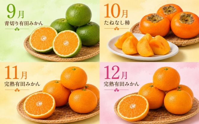【旬のくだもの定期便】和歌山県の旬のフルーツを毎月お届け！　全12回【Ｓ】（配送日時指定不可）※北海道・沖縄・離島への配送不可 / 定期便 フルーツ みかん いちご イチゴ すいか 桃 柿 ジュース 12回 【ard-tkb901A】