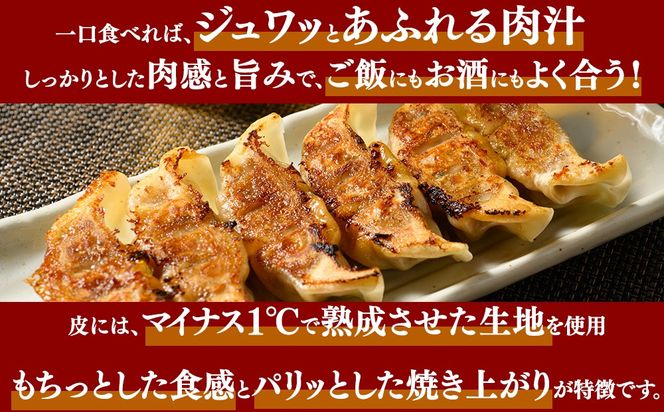 冷凍 生餃子 肉屋の餃子（45個入り） 2パック