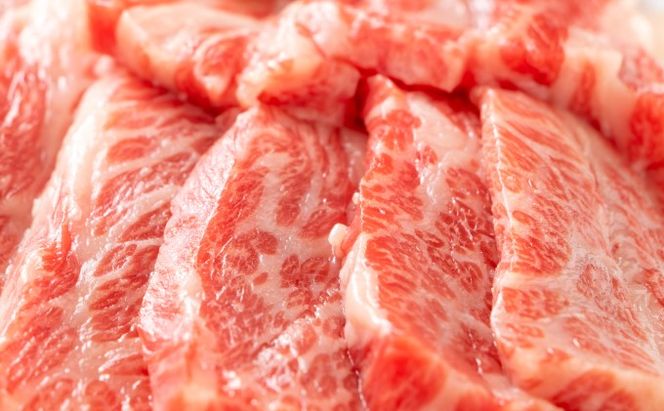 訳あり 牛肉 切り落とし A4～A5 焼肉 博多和牛 500g 訳アリ 配送不可：離島 