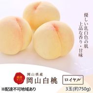 桃 2026年 先行予約 白桃 3玉(約750g)等級：ロイヤル 化粧箱入り もも モモ 岡山県産 国産 フルーツ 果物 セット ギフト