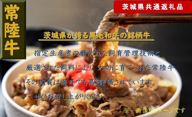 y錧sz169-26-005 y6ցzy헤z؂藎Ƃ 1kgyցzv6 ʖ6kgi錧ʕԗijy헤@錧Y@sz