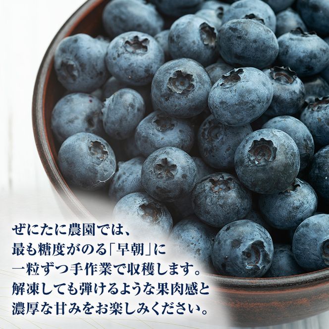 先行予約【朝採り】当日冷凍「北海道ニキブルーベリー」2kg（500g×4）サイズ混載 果物 くだもの 冷凍 フルーツ ブルーベリー 北海道 仁木［ぜにたに農園］