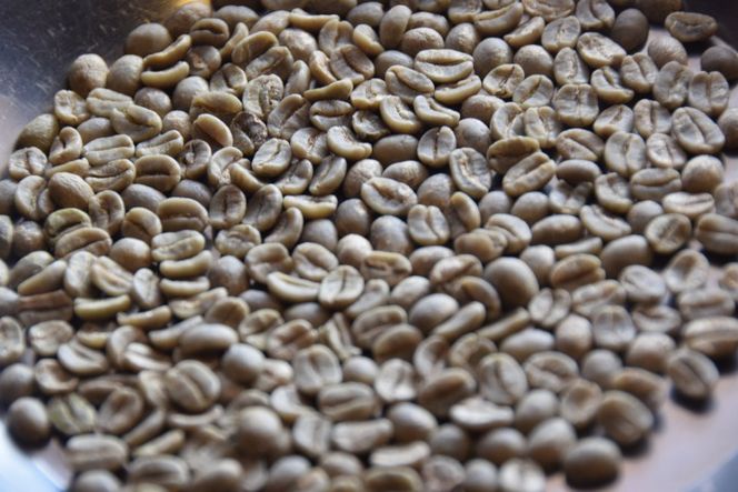 世界のハイクオリティコーヒー 2種×200g おまかせ定期便（3か月連続お届け）
