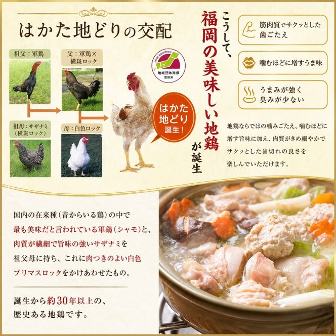 水炊き セット 3～4人前 福岡 限定！はかた地どり 鶏 肉 とり肉 鳥肉 鶏肉 鍋 なべ スープ付き ポン酢 コラーゲン 地鶏 冷凍 贈答品 送料無料 配送不可：離島