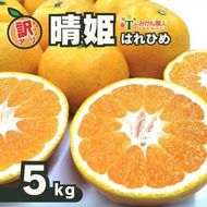 【先行予約】訳あり 晴姫 はれひめ 5kg みかん 蜜柑 柑橘 かんきつ 果物 くだもの ジュース 冬 旬 季節限定 期間限定 数量限定 厳選 産地直送 わけあり 訳あり 傷 きず サイズ混合 サイズミックス ふるさとチョイス ふるさと納税 ふるさと納税みかん チョイス 愛媛県 愛南町 みかん職人武田屋 