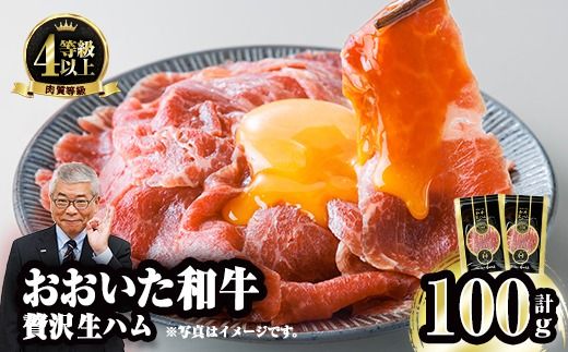 y啪sza n (v100gE50g×2P) Y   n A4 a uh  ܂ 啪 s yFW022zy~[gNXgz