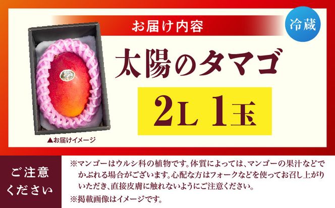 宮崎県産 太陽のタマゴ 2L×1玉