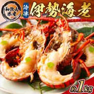 地元産 冷凍伊勢海老カット(サイズ不揃い）約1kg◇｜えび エビ 魚介 海鮮 海産物 和歌山 伊勢海老 伊勢エビ イセエビ 高級 カット 鍋 味噌汁 瞬間冷凍 国産 産地直送 美浜町