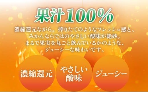 【お中元】みかん100 1L×6本 | みかんジュース 温州みかん 100%ジュース ストレートジュース 果汁100% 無添加 国産ジュース フルーツジュース お取り寄せ ギフト 人気 子供向け 健康飲料 九州 特産品