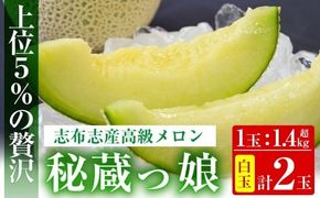 【春限定】極上メロン「秘蔵っ娘」白玉(青肉)2個 b5-037-s