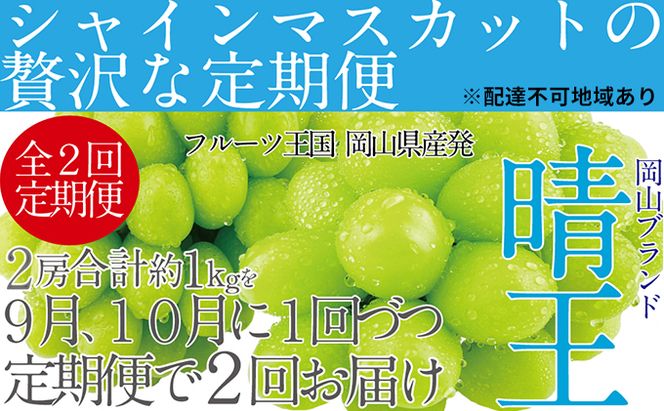 ぶどう2026年 先行予約 9月・10月発送 シャイン マスカット 晴王 2房（合計約1kg） ブドウ 葡萄  岡山県産 国産 フルーツ 果物 ギフト 