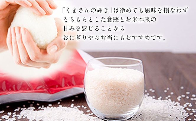 令和7年産 矢護川清流そだち(くまさんの輝き) 5kg 大津町矢護川おいしい米作り研究会 お米 熊本県 大津町《60日以内に出荷予定(土日祝除く)》---oz_kzk_2_5kg---