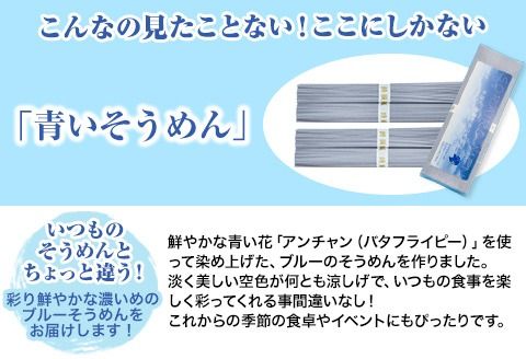 そらいろそうめん薄色 選べる 2セット 3セット 6セット 福永幸山堂《60日以内に出荷予定(土日祝除く)》---sm_smtu_60d_25_7000_2p---