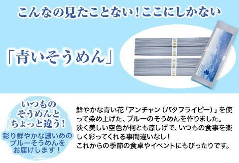 そらいろそうめん薄色 選べる 2セット 3セット 6セット 福永幸山堂《30日以内に出荷予定(土日祝除く)》---sm_smtu_30d_23_7000_2p---