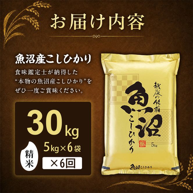 【令和8年産 先行予約】「6カ月定期便」食味鑑定士厳選！魚沼産こしひかり 30kg（5kg×6）×6回 白米 米 コシヒカリ 定期 新潟県 十日町市