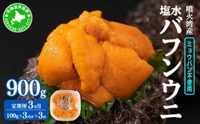 【定期便3カ月】北海道 噴火湾産 塩水 バフンウニ 100g 3パック 《アフター保証付き》うに ウニ 雲丹 海鮮 海の幸 魚介類 ウニ丼 お寿司 濃厚 無添加 産地直送 産直 お取り寄せ 山村水産 送料無料 【55250994】