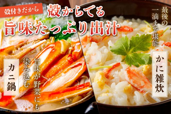 【ふるプレ限定品】【大好評！カニ酢付き】厳選！！釜茹で　本ズワイガニ　２Lサイズ4肩　YK00648P