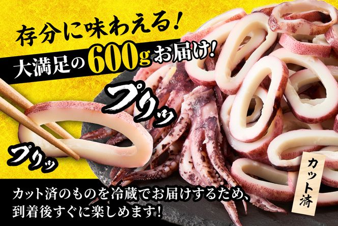 【 イカリング 蒸しイカリング 600g（1パック約200g×３パック）からし味噌付き 冷蔵 】新鮮 商品到着後すぐに食べられる便利な商品 大型蒸し器でスチームし旨味を凝縮 食べ応え抜群 発送目安：入金確認後１ヶ月程度 イカフライ 蒸しイカ バーベキュー 焼肉 鉄板焼き BBQ キャンプ 国産 兵庫県 香美町 香住 ふるさと納税 人気 10000 10000円 一万円 以下 モリタ食品 10-11