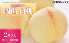 桃 2026年 先行予約 白桃 2玉入り 合計500g前後 岡山県産もも モモ 岡山県産 国産 フルーツ 果物 ギフト [№5735-3459]