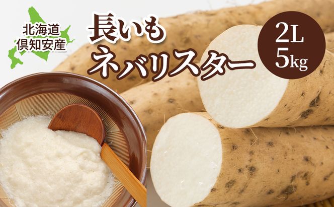 【 2026年 出荷 】 北海道 俱知安町産 ネバリスター 計5kg 北海道産 芋 ながいも 長芋 とろろ 新鮮 フレッシュ 野菜 農作物 産直 山芋 大和芋 イチョウ芋 麦とろ 山かけ おつまみ グリーンアースファーム 送料無料 倶知安町