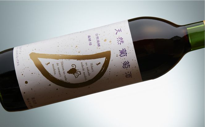 天然ワイン醸造　酸化防止剤無添加　天然葡萄酒　赤中辛 720ml　2本セット 【kw0134-0069】