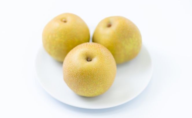 梨 季節の朝倉の梨 5kg 6-18玉 配送不可 離島 果物 フルーツ デザート おやつ 福岡県産 朝倉市産 秋の味覚 幸水 豊水 秋月 新高 南水 