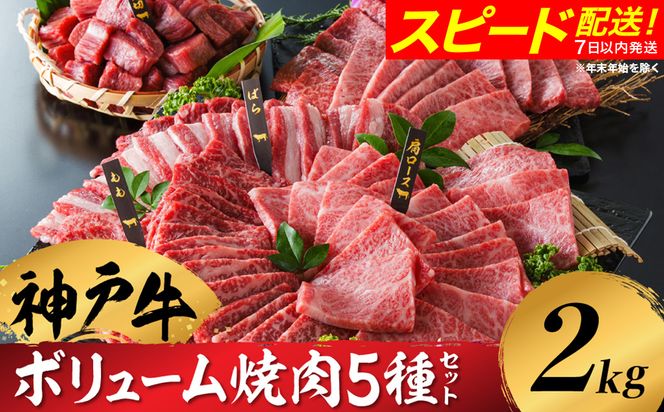 神戸牛 ボリューム焼肉セット 肩ロース 肩 モモ バラ 赤身角切り 2kg / 焼肉 食べ比べ 牛肉 小分け (200g×5種×2パック) 密着包装 赤身 霜降り国産牛 焼肉セット 焼き肉 冷凍 国産牛 ブランド牛 黒毛和牛 神戸ビーフ 化粧箱入り ギフト【帝神志方ミート】/翌月にお届け