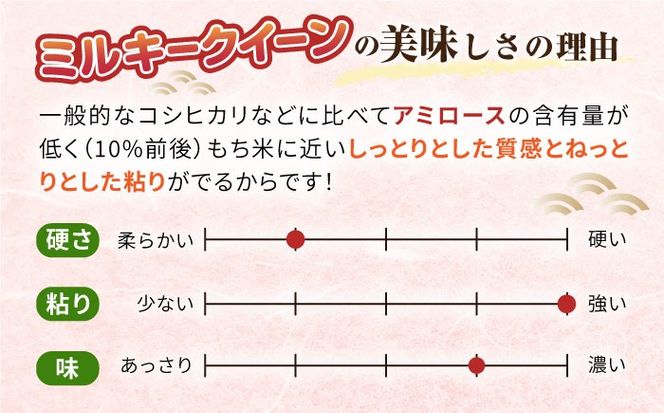 【全12回定期便】ミルキークイーン 10kg （ 5kg×2袋 ） 糸島市 / 玄米・精米専門店 新飼宗一郎商店 米 白米[ADE016]