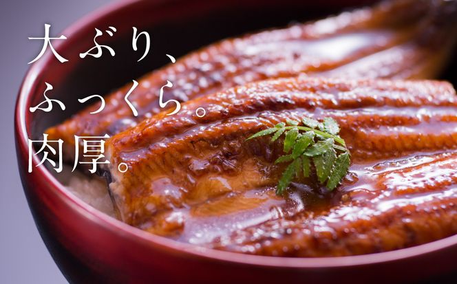 【先行予約】 うなぎ蒲焼4尾セット（190g×4尾）合計760g　たれ・山椒付き  鰻 うなぎ ウナギ 国産 冷凍 うな重 蒲焼 丑の日 鰻楽 熊本県 八代市 【2026年10月中旬より順次発送】