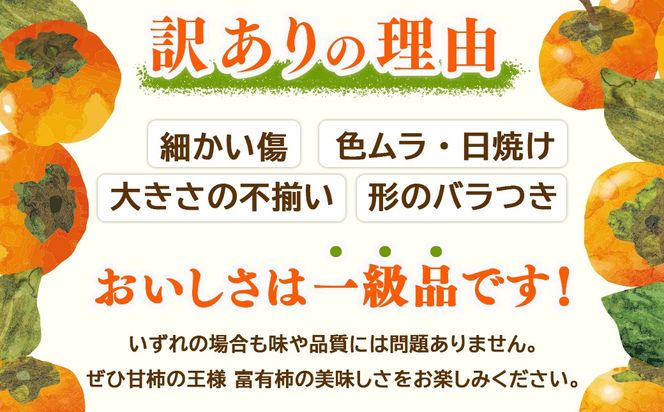【先行予約】岐阜県瑞穂市産 訳あり富有柿 2.5kg ※2026年11月～発送