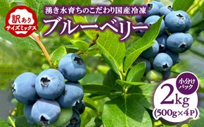 【訳あり2kg】湧き水育ちの国産冷凍ブルーベリー(500g×4パック)農家直送【ブルーベリーガーデンcoicoi/愛知県額田郡幸田町】 ※2026年6月～発送