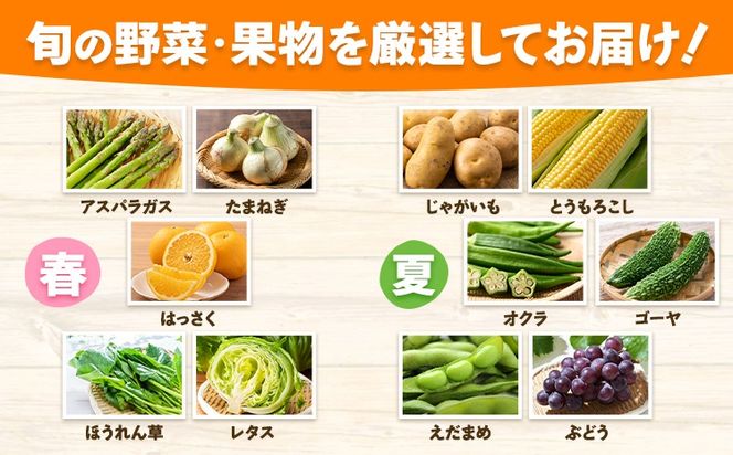 旬の野菜・果物詰め合わせセット 10-15品 氷川町産 道の駅竜北《30日以内に出荷予定(土日祝除く)》熊本県 氷川町 旬 フルーツ 果物 くだもの 野菜 やさい 新鮮---hkw_mer_10_10p---