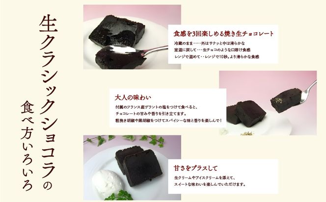  シャインマスカットレーズンショコラ＆生クラシックショコラ 019-001