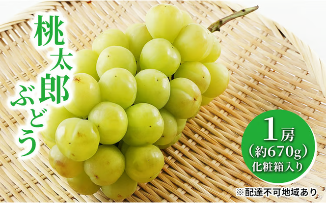 ぶどう 2026年 先行予約 桃太郎 ぶどう 1房（1房約670g）化粧箱入り マスカット ブドウ 葡萄 岡山県産 国産 フルーツ 果物 ギフト 大粒 果実 種無し そのまま 粒ごと 酸味 甘さ 人気 [№5735-1457]