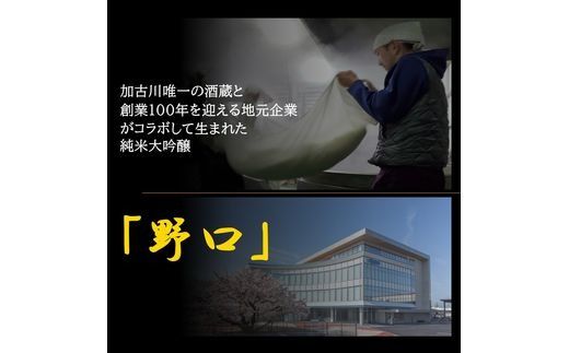 日本酒 「野口」純米大吟醸《 日本酒 酒 お酒 純米大吟醸 大吟醸 山田錦 》【2401F16301】