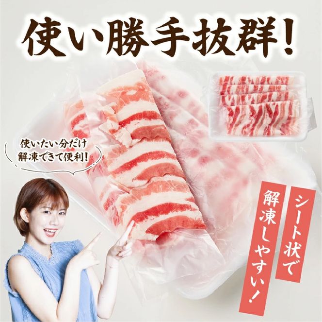 【牧場直送の新鮮黒豚】桑水流黒豚からいもどんスライス食べ比べセット（国産 豚肉 小分け 700ｇ 黒豚 豚バラ しゃぶしゃぶ 豚バラスライス 豚　宮崎 小林市 人気 冷凍）