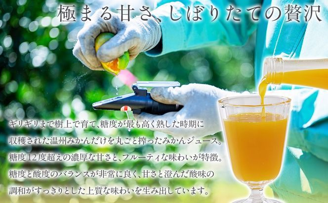 木なり「熟」みかんジュース（720ml×1本） IKTE009