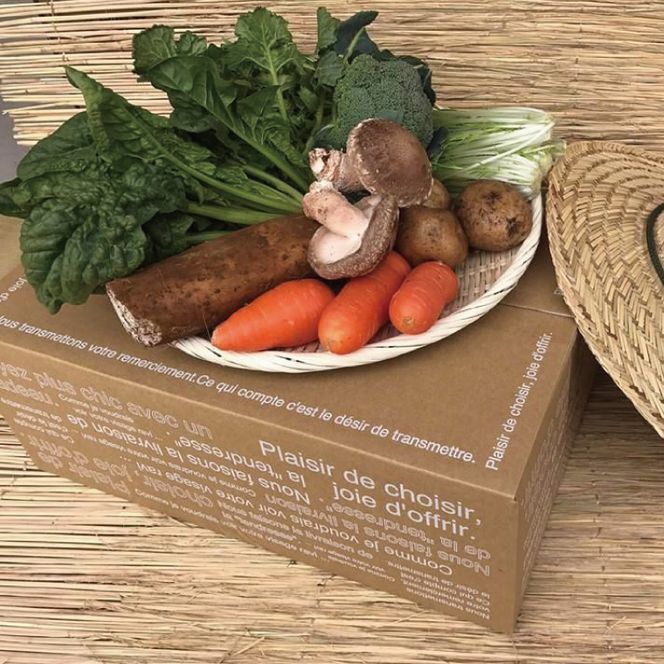 身体が喜ぶ季節の野菜ハーフセット(6～7品)｜野菜 やさい 野菜セット セット 詰め合わせ おまかせ 茨城県 行方市(BI-107)