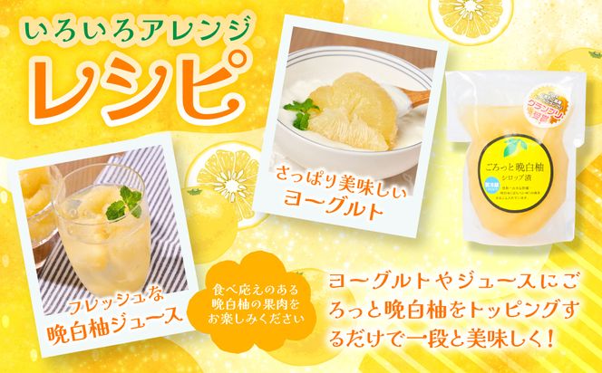 【先行予約】 晩白柚ペースト「マキシト」・晩白柚シロップ漬「ごろっと晩白柚」セット 晩白柚 ばんぺいゆ 柑橘 手作り ペースト ジャム フルーツソース シロップ漬け デザート 【2027年1月中旬より順次発送】