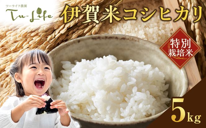 yOdɉszʍ͔|āEɉăRVqJ 5kg 242161_AH001