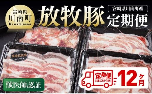 [12ヶ月定期便]宮崎県川南町産 放牧豚定期便 [ 豚 肉 豚肉 国産 九州産 宮崎県産 川南町 加工品 セット 送料無料 ][D08107t12]