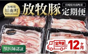 【12ヶ月定期便】宮崎県川南町産豚肉　放牧豚定期便 【 豚 肉 豚肉 国産 九州産 宮崎県産 川南町 加工品 セット 送料無料 】[C08108t12]
