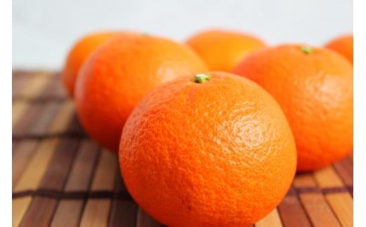 津之輝(つのかがやき)　5kg【予約】※2027年1月下旬頃〜2027年2月上旬頃に順次発送予定(お届け日指定不可) 【uot761】